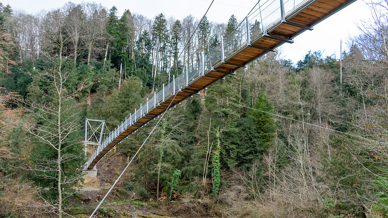 Fussgängerbrücke Goldach